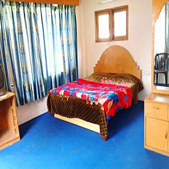 Hotel Manali Majestic, Manali 4
